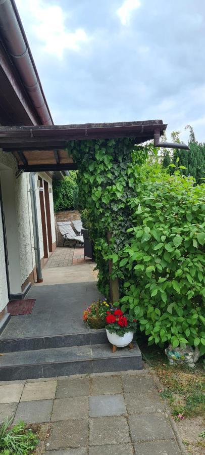 Ferienwohnung Hampel Altglietzen Exterior foto